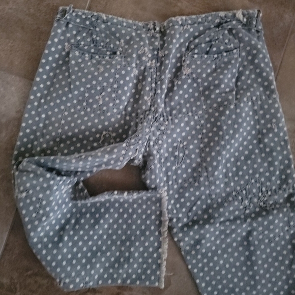 Magnolia Pearl Polka Dot Chino Pants - Picture 5 of 13